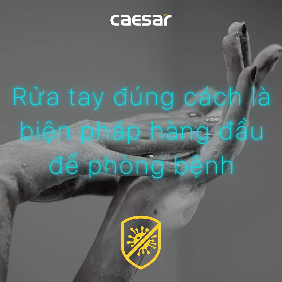 Hộp xà phòng đôi Caesar Q832 - 4