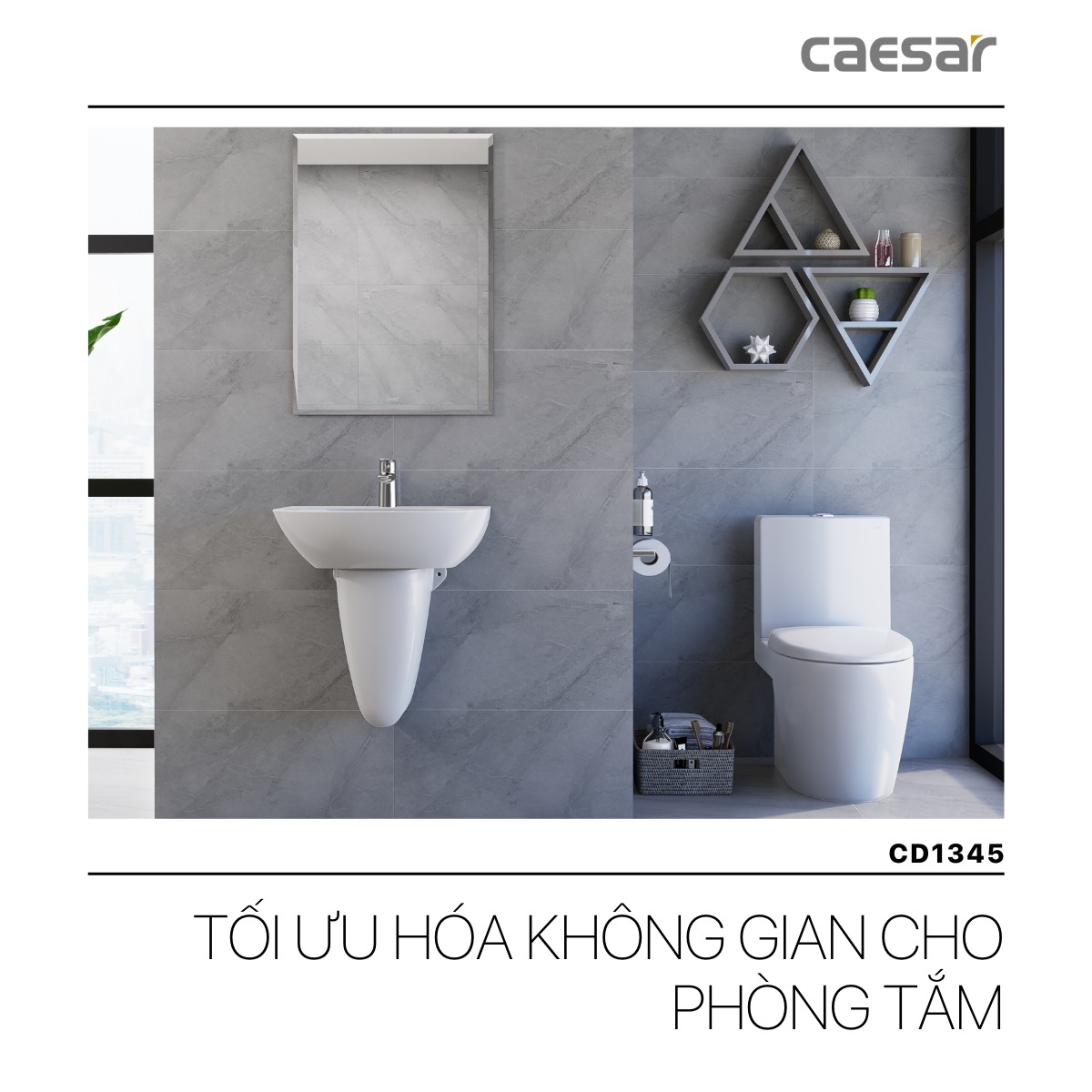 Bồn cầu 2 khối nắp rửa cơ Caesar CD1345+TAF060 - 8