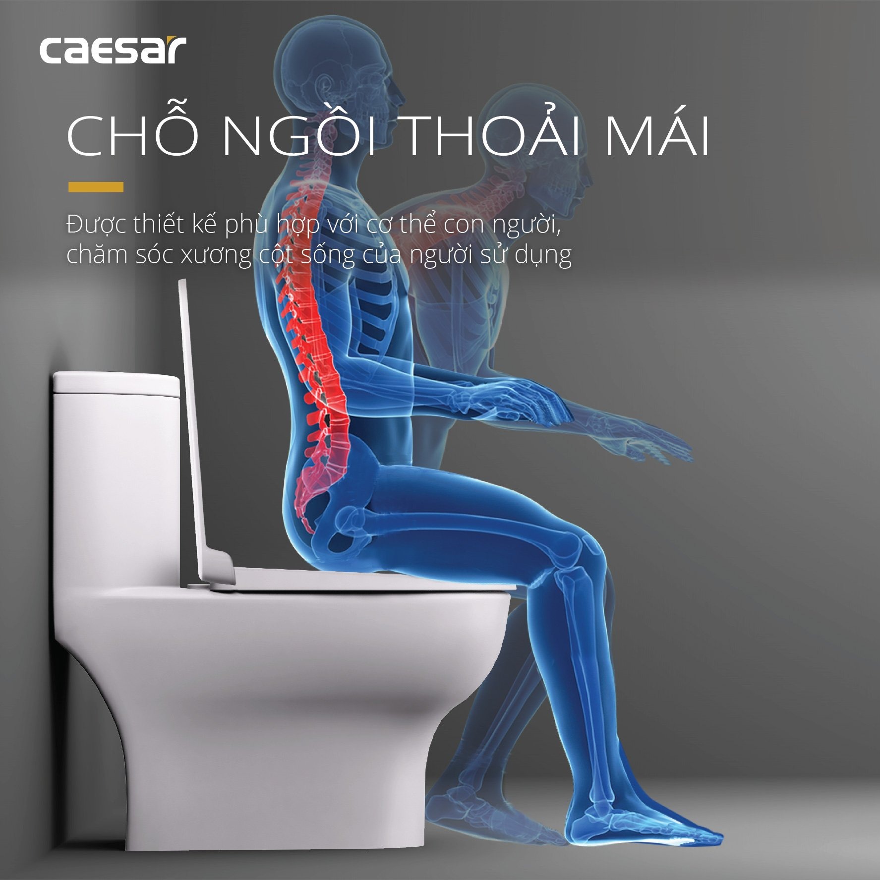 Bồn cầu 1 khối Caesar C1375 (CD1375) nắp đóng êm - 15