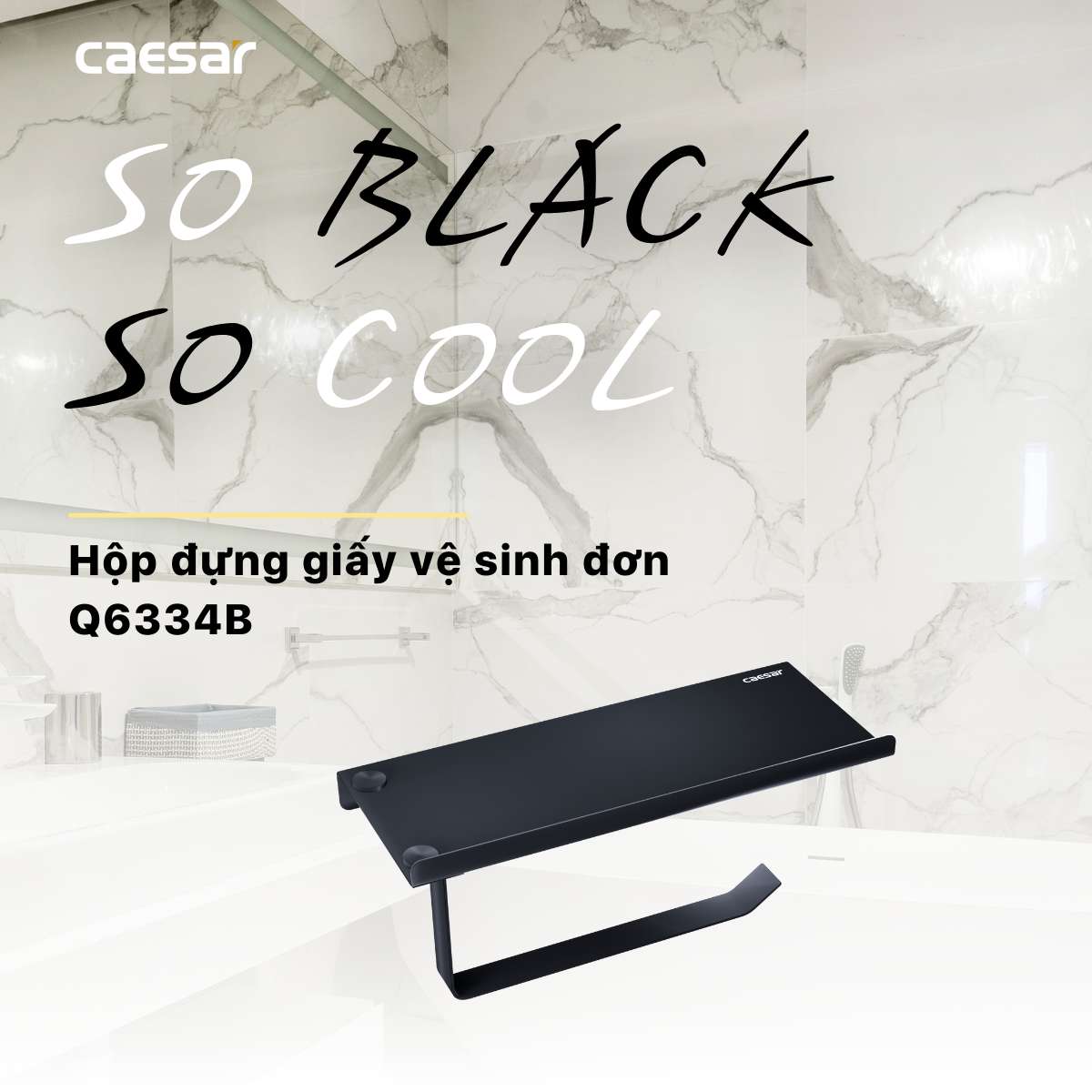 Lô đựng giấy vệ sinh đơn có kệ Caesar Q6334B - 7