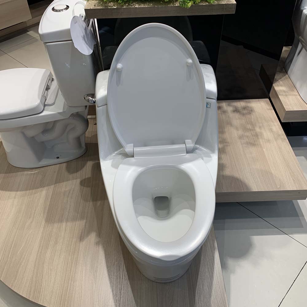 Bồn cầu 1 khối Caesar C1353 nắp êm - 5