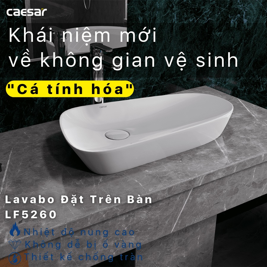 Chậu lavabo đặt bàn Caesar LF5260 - 8