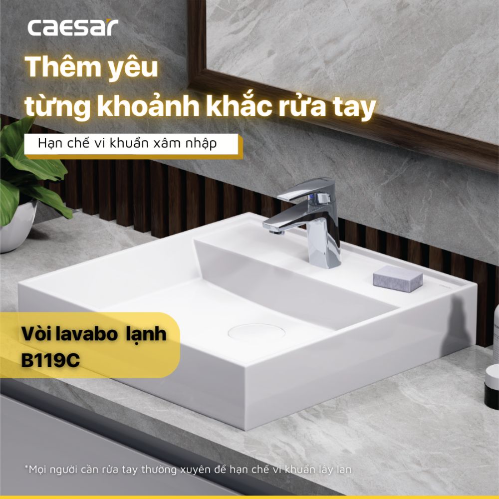 Vòi chậu lavabo lạnh Caesar B119C - 10