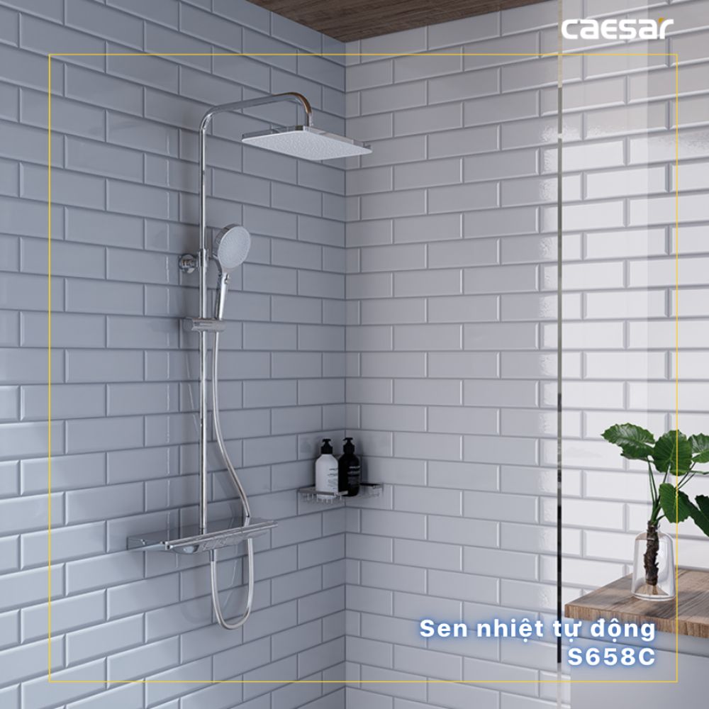Sen cây tắm đứng ổn nhiệt Caesar S658C - 5