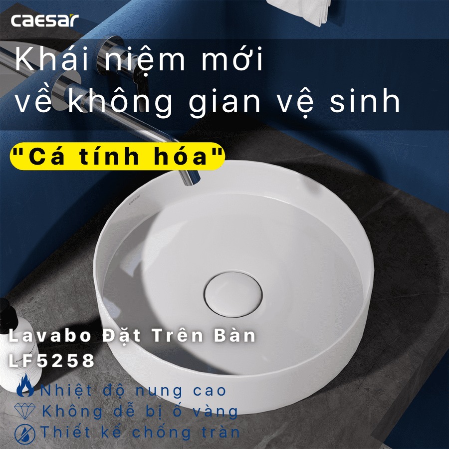 Chậu lavabo đặt bàn Caesar LF5258 - 11