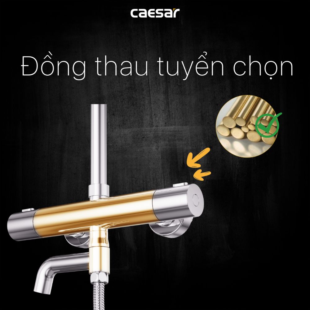 Bộ sen tắm cây nhiệt độ Caesar S1038S - 15