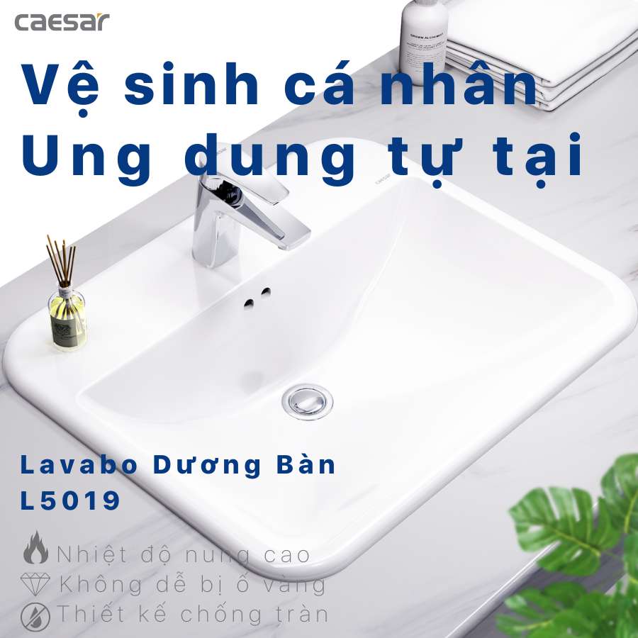 Chậu lavabo dương vành Caesar L5019 - 8