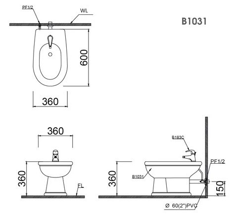 Bồn tiểu nữ Caesar B1031