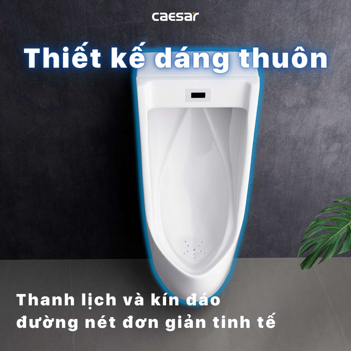 Bồn tiểu nam treo tường cảm ứng thoát ngang Caesar UMP0283 - 12