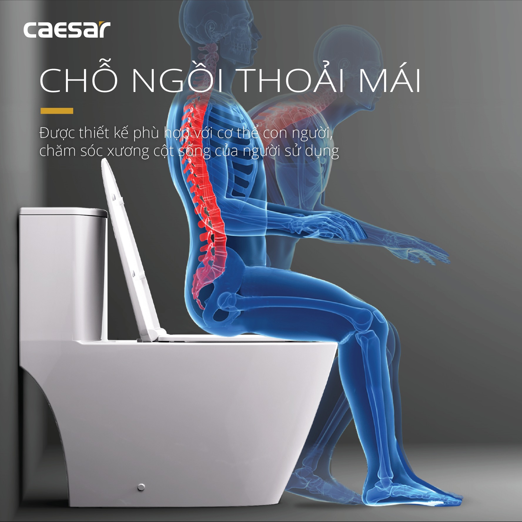 Bồn cầu 1 khối Caesar C1363 (CD1363) nắp đóng êm - 10