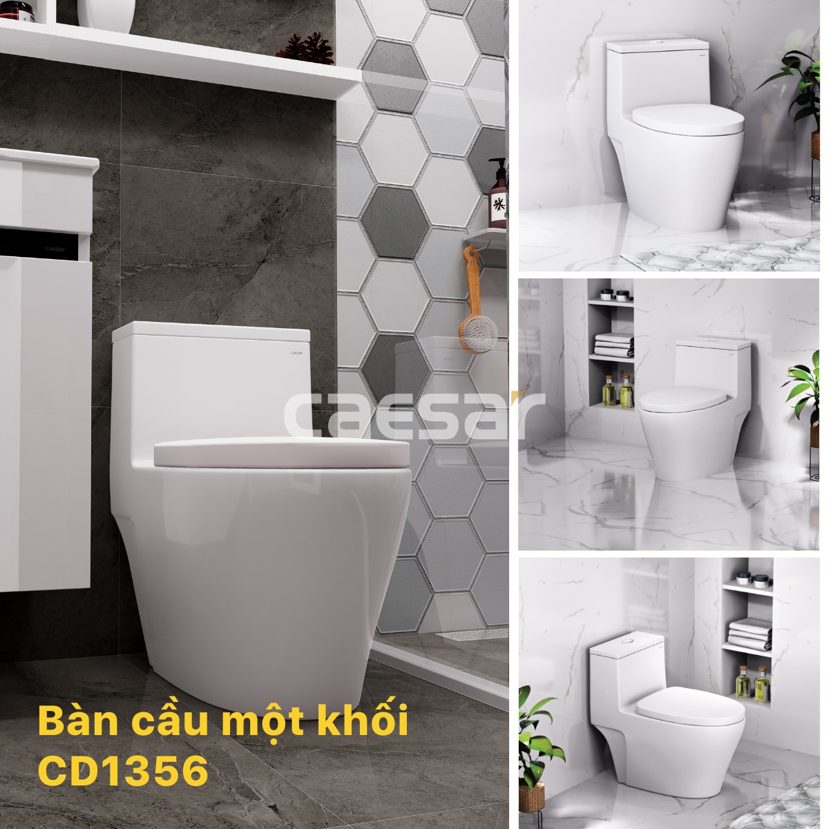 Bồn cầu 1 khối Caesar C1356 (CD1356) nắp đóng êm - 22
