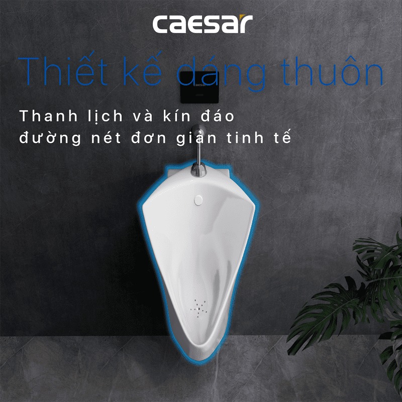 Bồn tiểu nam treo tường thoát ngang Caesar U0232 - 11
