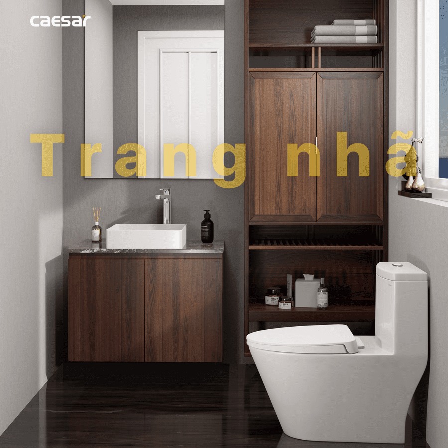 Chậu lavabo đặt bàn Caesar LF5252 - 18
