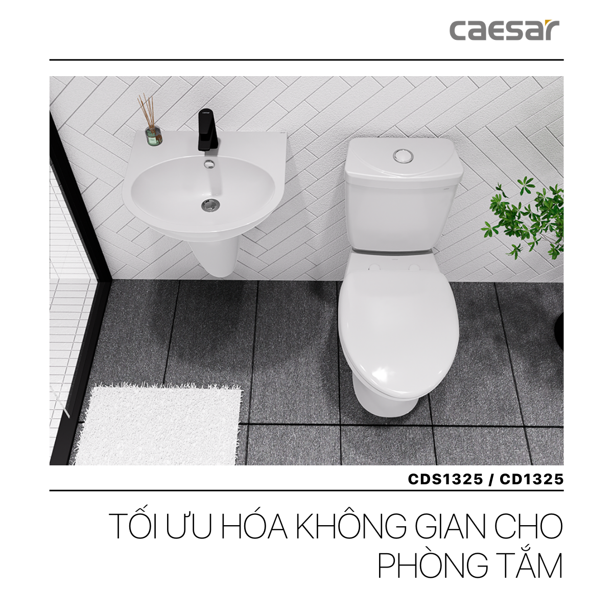 Bồn cầu 2 khối Caesar CD1325 nắp thường - 7