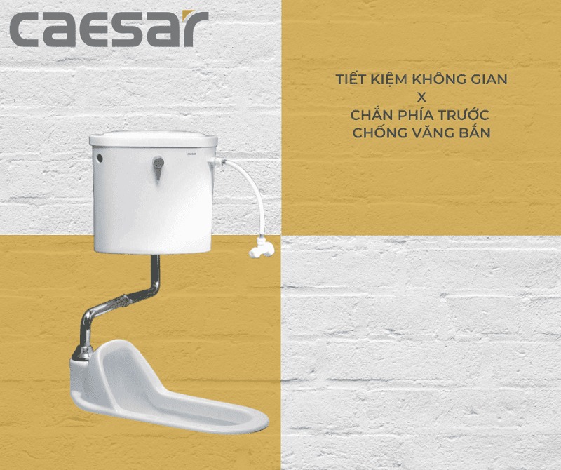Bồn cầu xí xổm Caesar CT1250 - 4