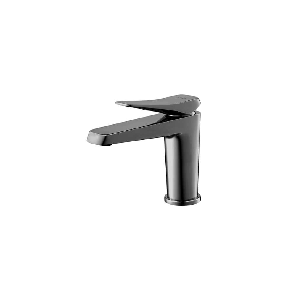 Vòi lavabo lạnh COTTO CT1241A - 4