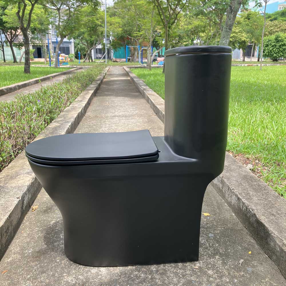 Bồn cầu 1 khối nắp đóng êm dòng Klirr COTTO C11007MBK màu đen mờ - 5