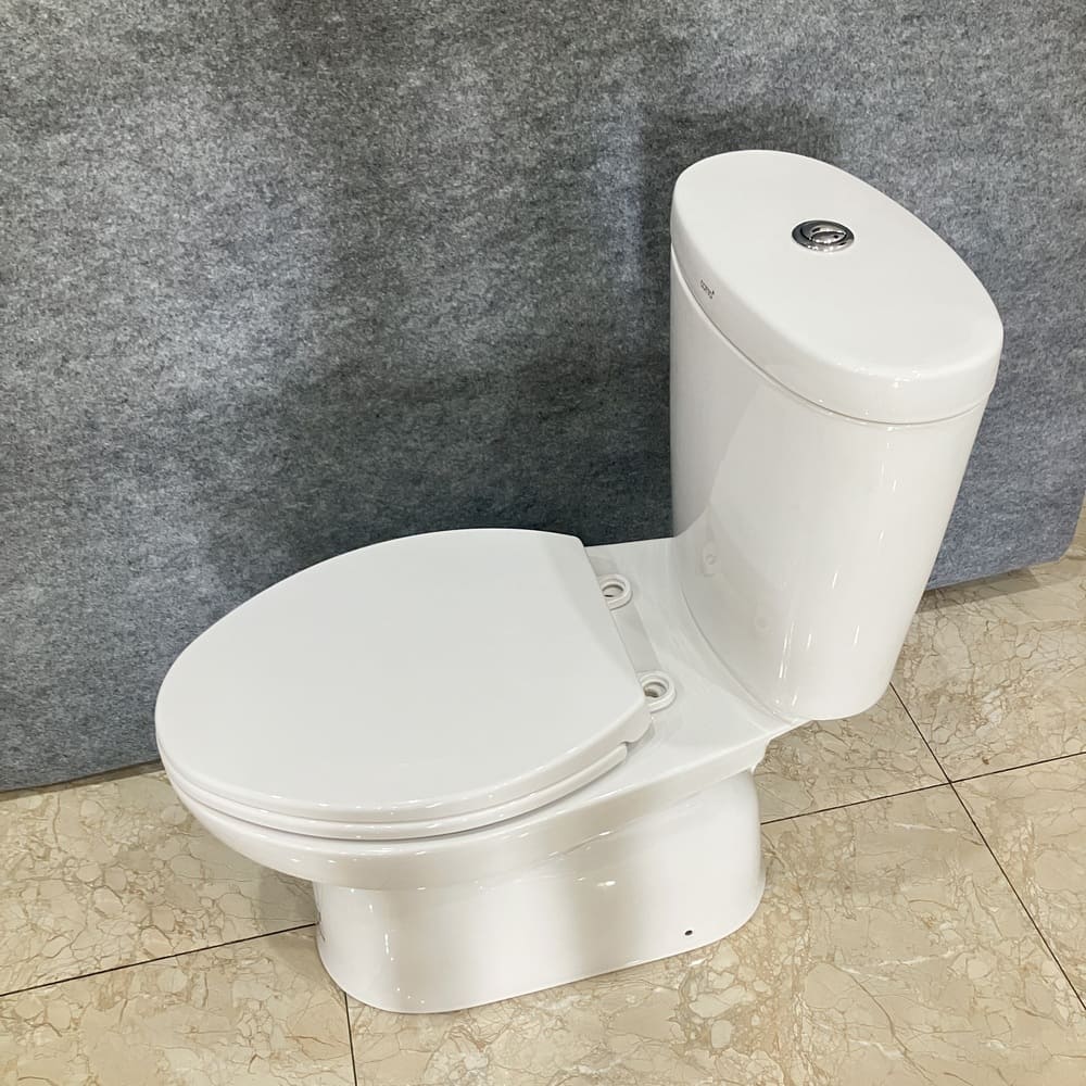 Bồn cầu 2 khối COTTO C1389 nắp êm dòng Timon - 4