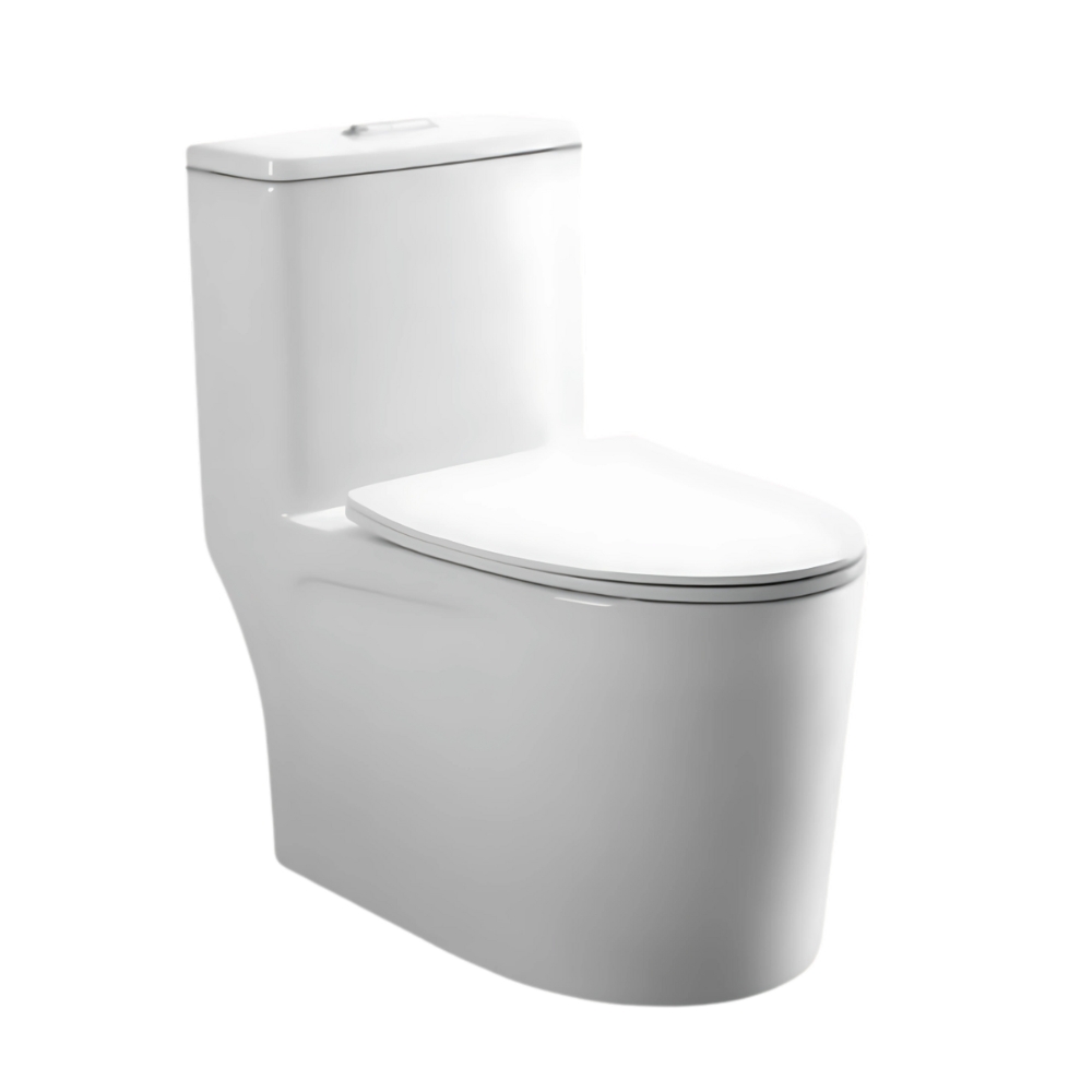 Bồn cầu 1 khối nắp êm COTTO C1000024OS