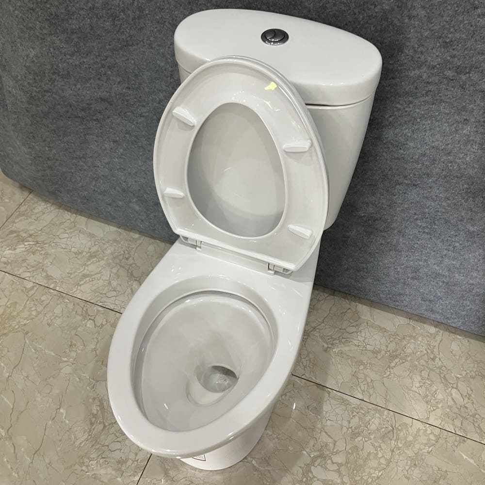 Bồn cầu 2 khối COTTO C1389 nắp êm dòng Timon - 6
