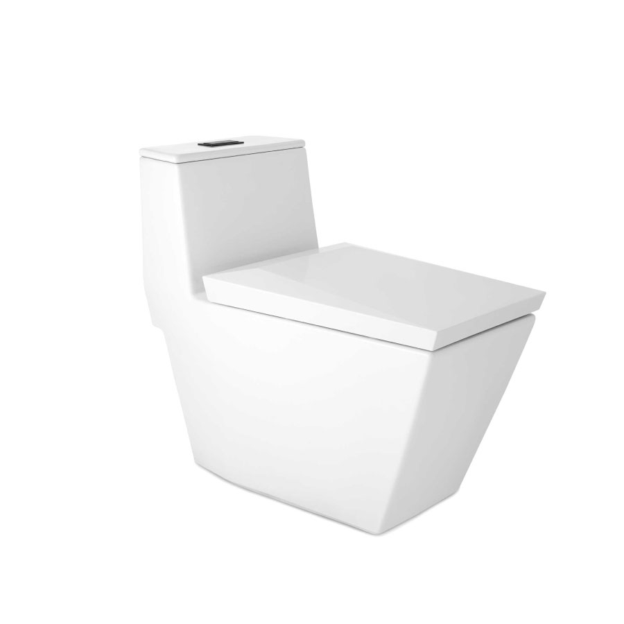 Bồn cầu 1 khối COTTO C102807 nắp êm dòng Skive