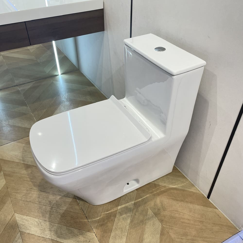 Bộ bồn cầu 1 khối DURASTYLE Duravit 2157010083 + 006059000 + 0014160000 - 5