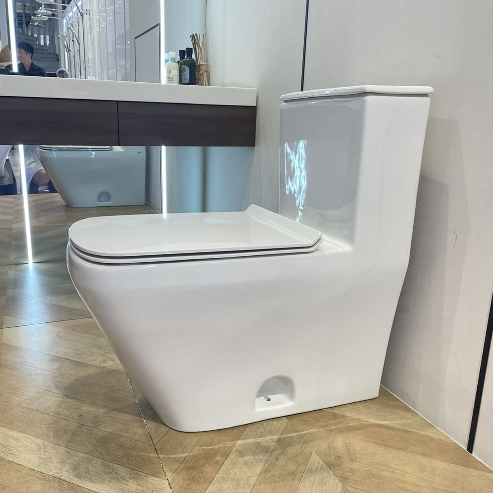 Bộ bồn cầu 1 khối DURASTYLE Duravit 2157010083 + 006059000 + 0014160000 - 6