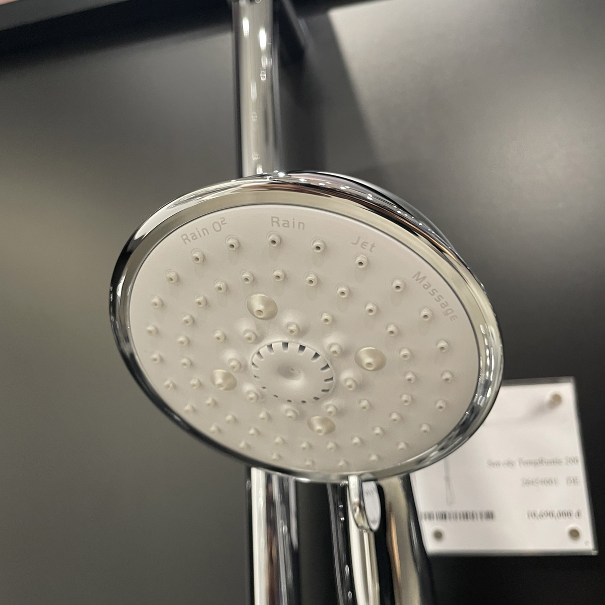 Thân sen cây tắm đứng Tempesta Rustic System 200 GROHE 26454001 - 14