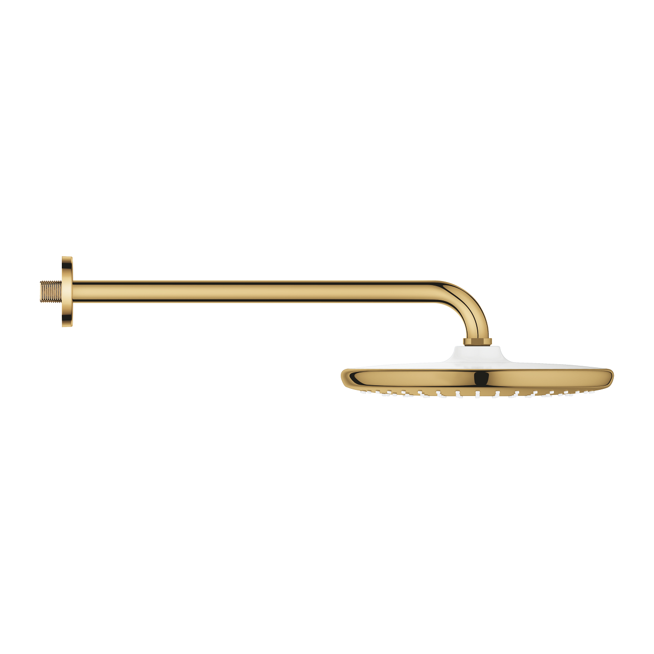Bộ bát sen gắn tường Tempesta 250 GROHE 26668000 - 10