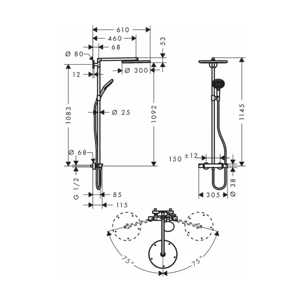 Sen cây nhiệt độ Hansgrohe 27114000 Raindance S - 2