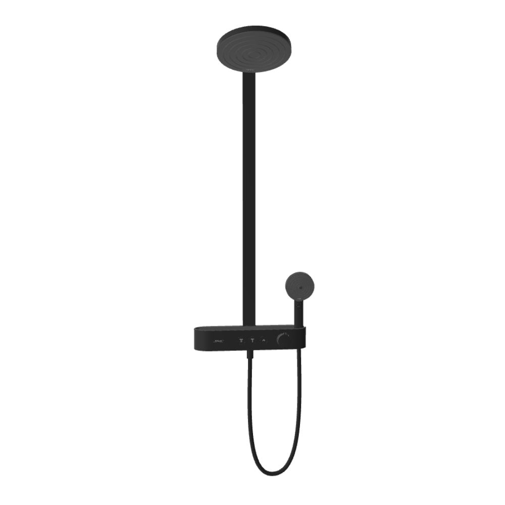 Sen cây nhiệt độ Hansgrohe 24240670 Pulsify S - 4