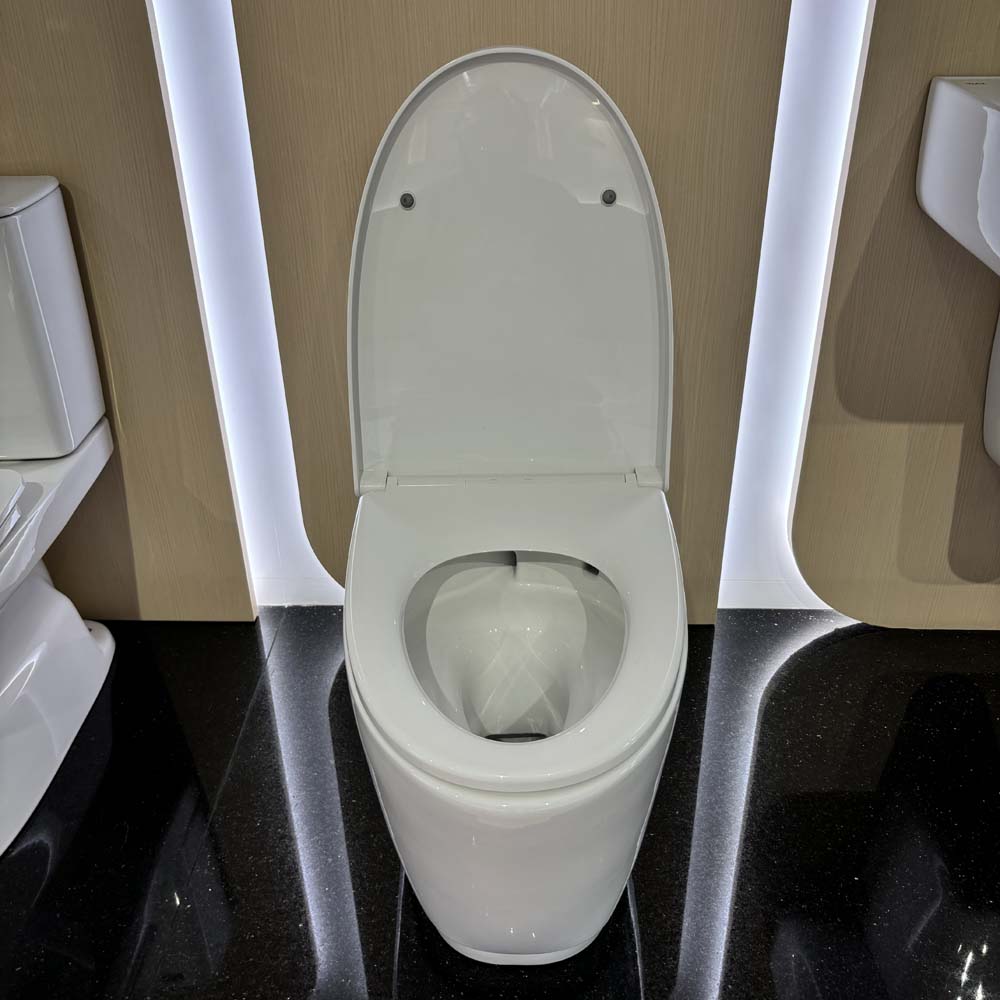 Bồn cầu 2 khối INAX AC-832VN (AC832VN) nắp đóng êm - 5