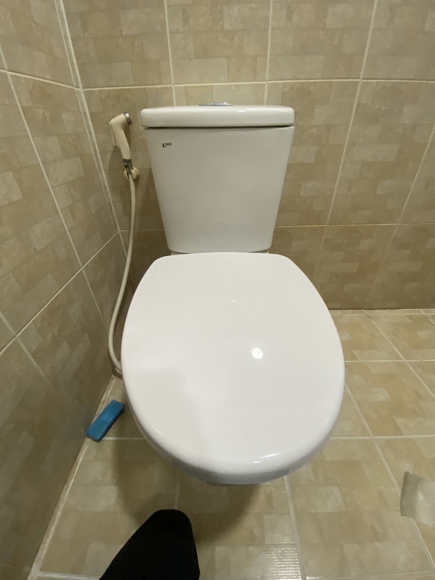Nắp bồn cầu đóng êm INAX CF-57VSAK (CF57VSAK) - 6