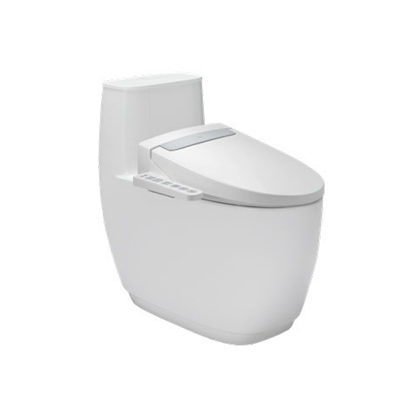 Nắp điện tử H20