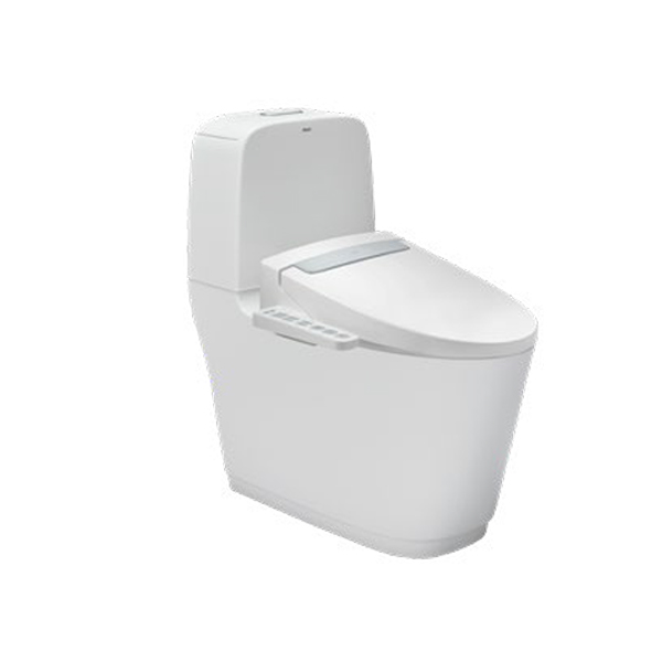 Nắp điện tử H20