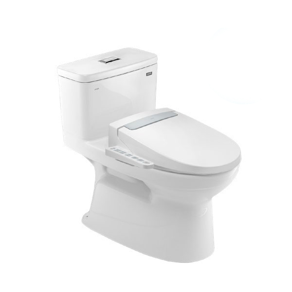 Nắp điện tử H20