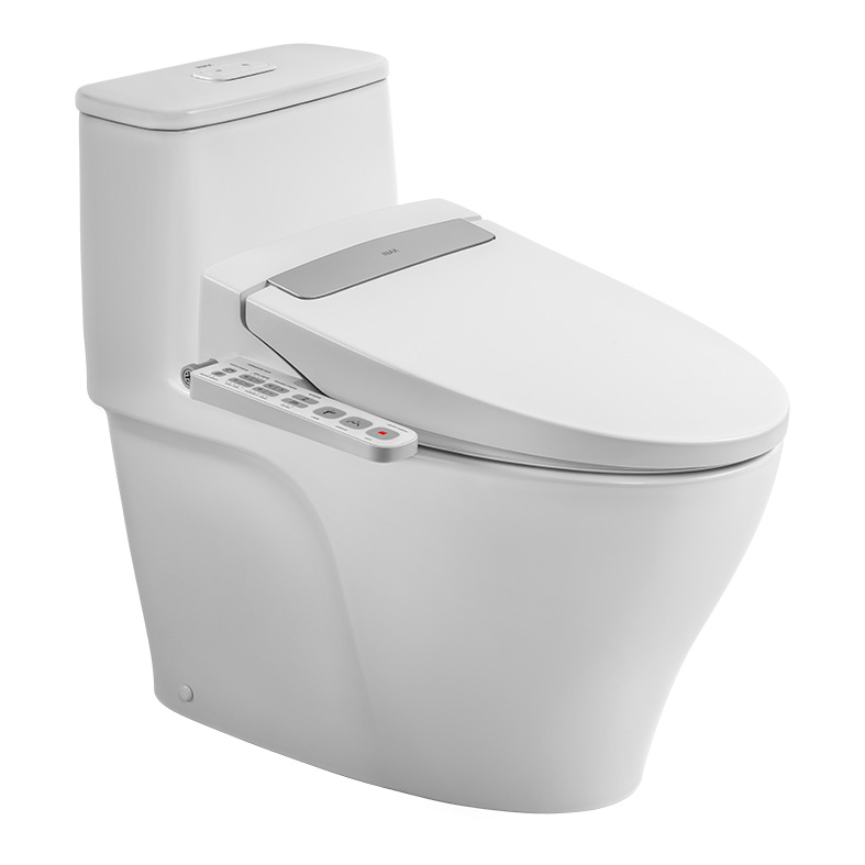 Nắp điện tử H20