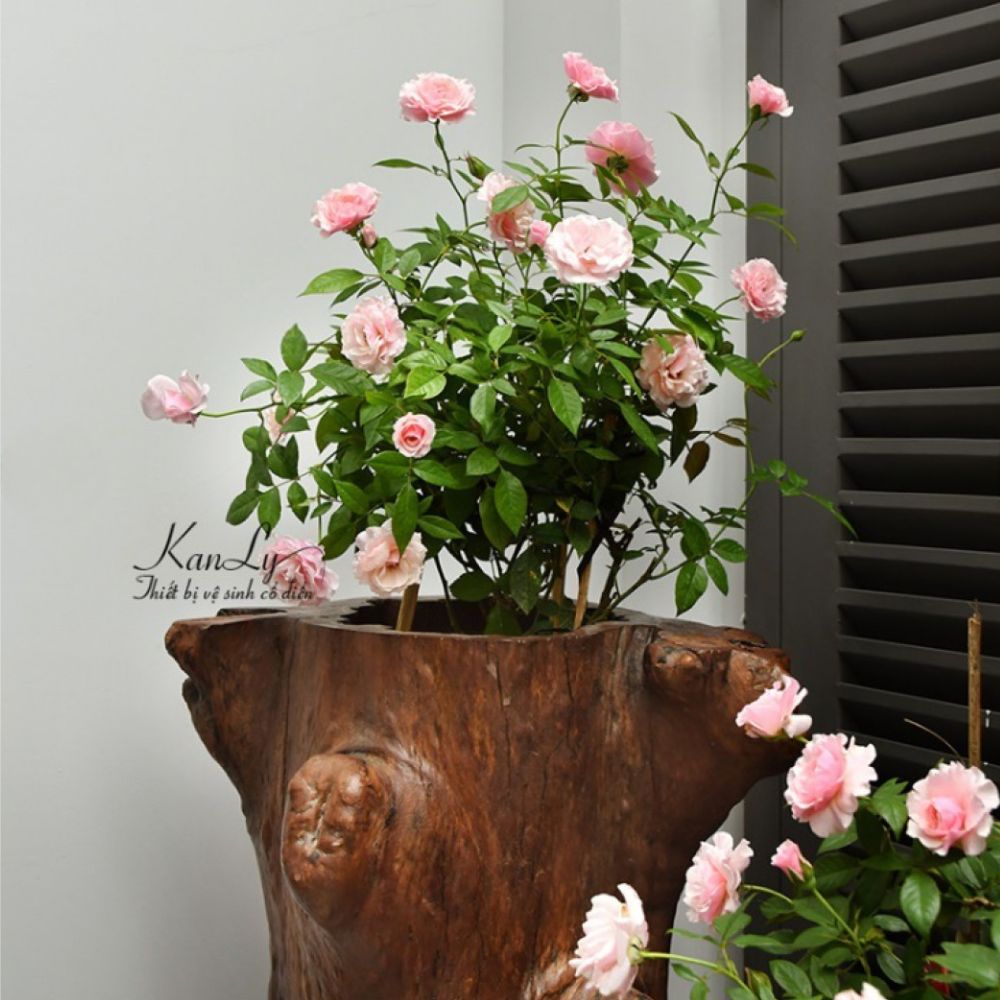 Đôn gỗ để lavabo Kanly TW02V - 4