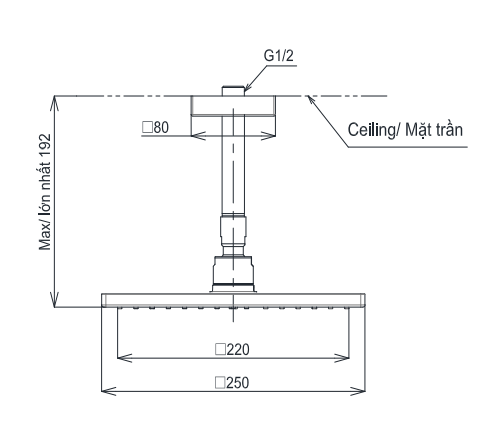 Bát sen tắm gắn trần TOTO TBW08002A1 (vuông, 250 mm) - 8