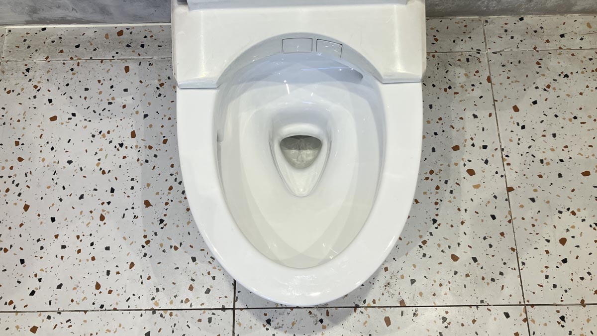 Bồn cầu TOTO CS838DW11 2 khối nắp điện tử Washlet S7 TCF4911Z - 10