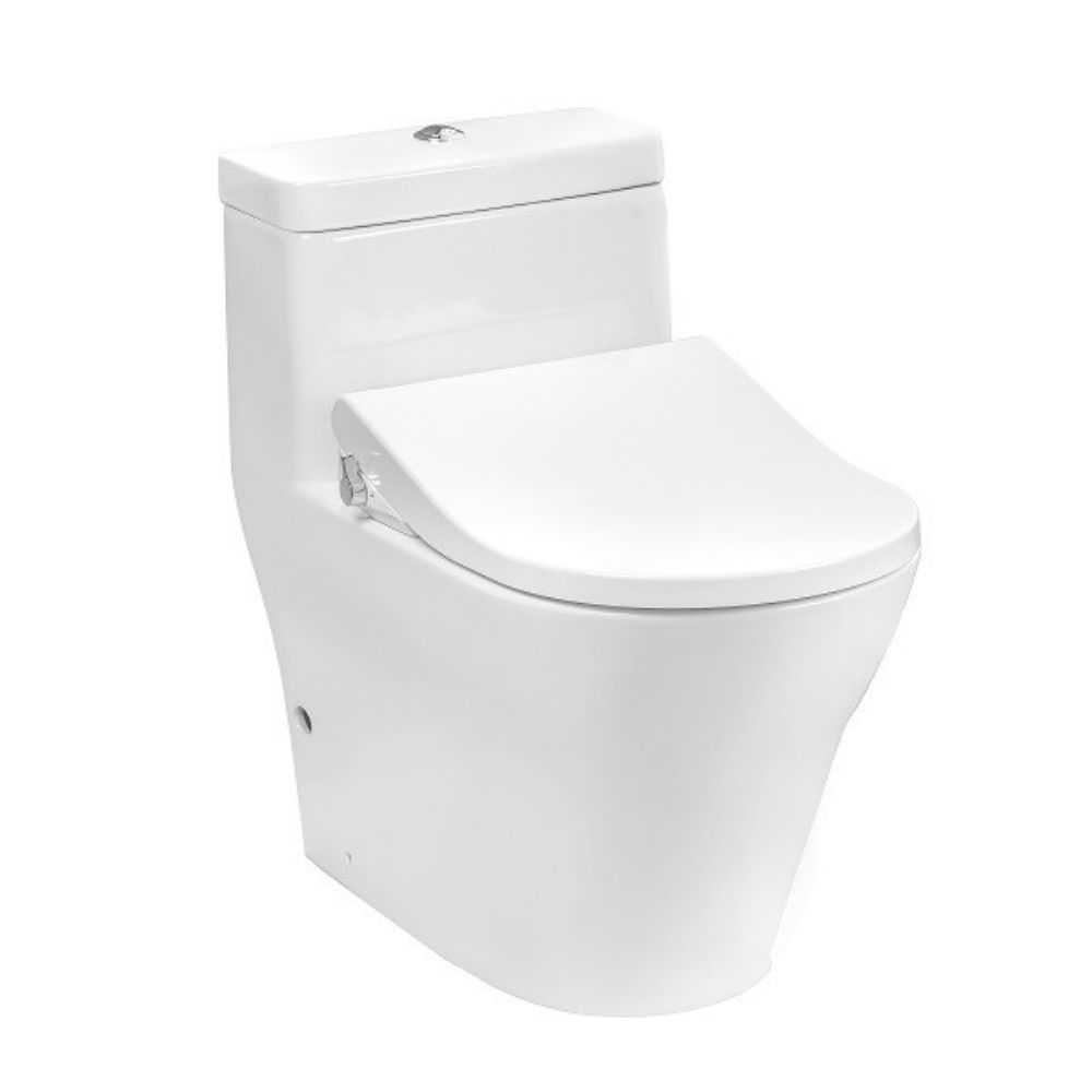 Bồn cầu TOTO CW166RB TCW09S T53P100VR 1 khối nắp rửa cơ Ecowasher E5 - 2