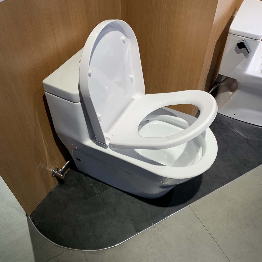 Bồn cầu TOTO CW166RB TC384CVK T53P100VR 1 khối nắp đóng êm - 12