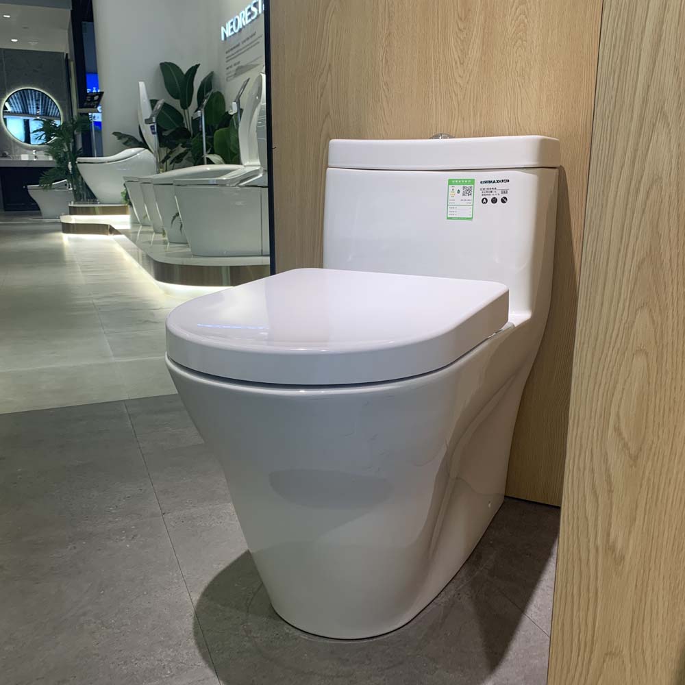 Bồn cầu TOTO CW166RB TC384CVK T53P100VR 1 khối nắp đóng êm - 19