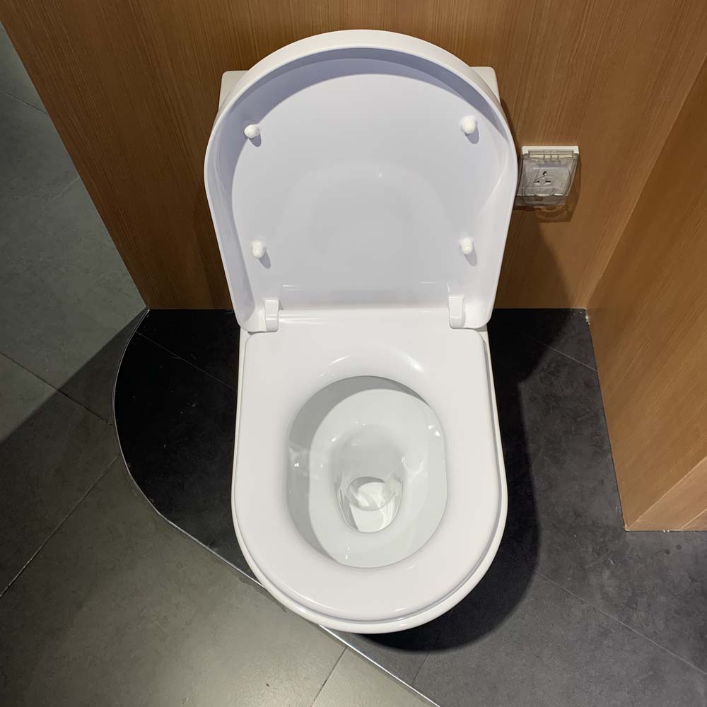 Bồn cầu TOTO CW166RB TC384CVK T53P100VR 1 khối nắp đóng êm - 11