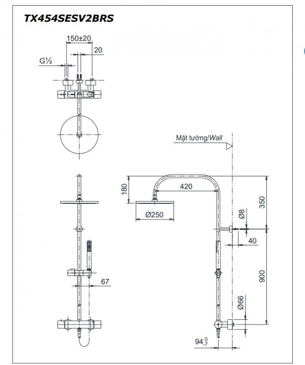 Sen tắm cây nhiệt độ TOTO TX454SESV2BRS - 2