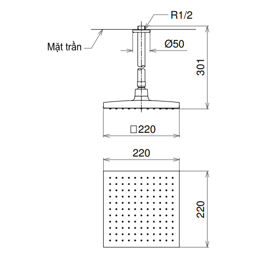 Bát sen tắm gắn trần TOTO DB144-1CR (DB1441CR) (vuông, 220mm) - 2