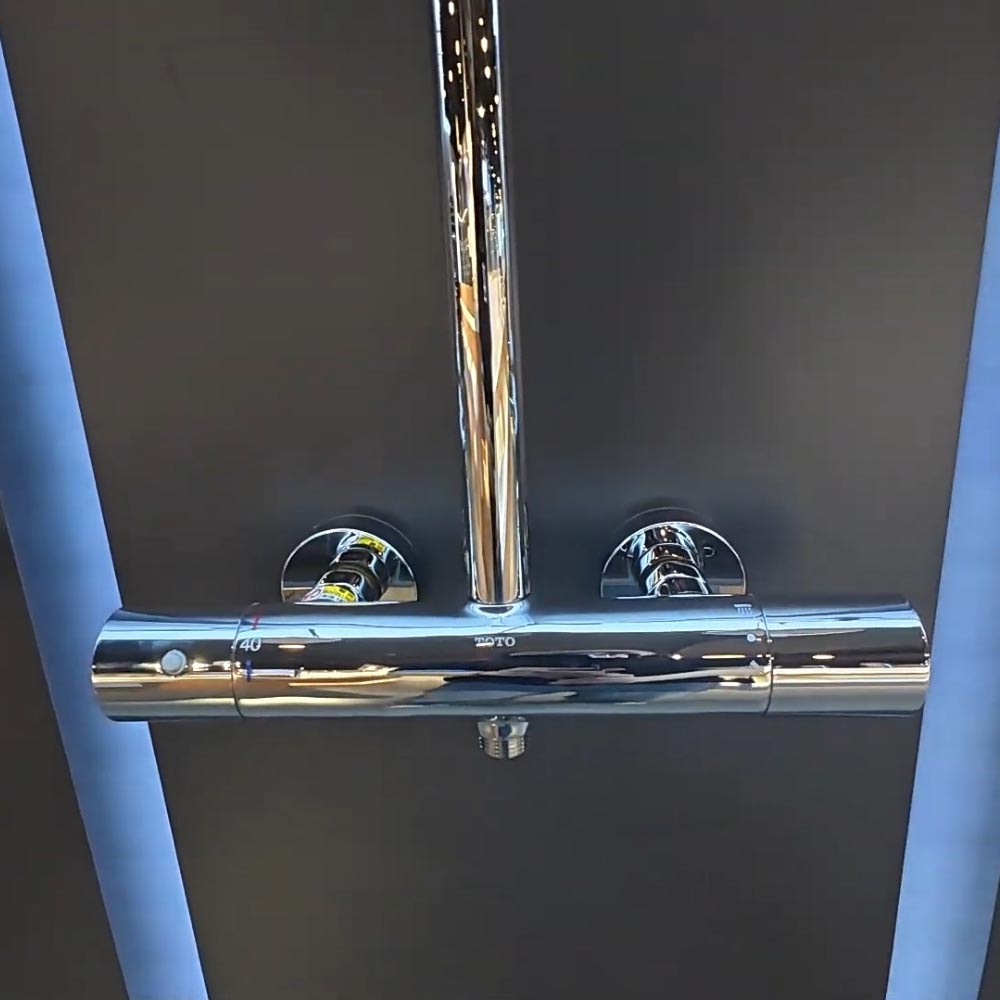 Sen cây nhiệt độ dòng G TOTO TBW07402A - 5