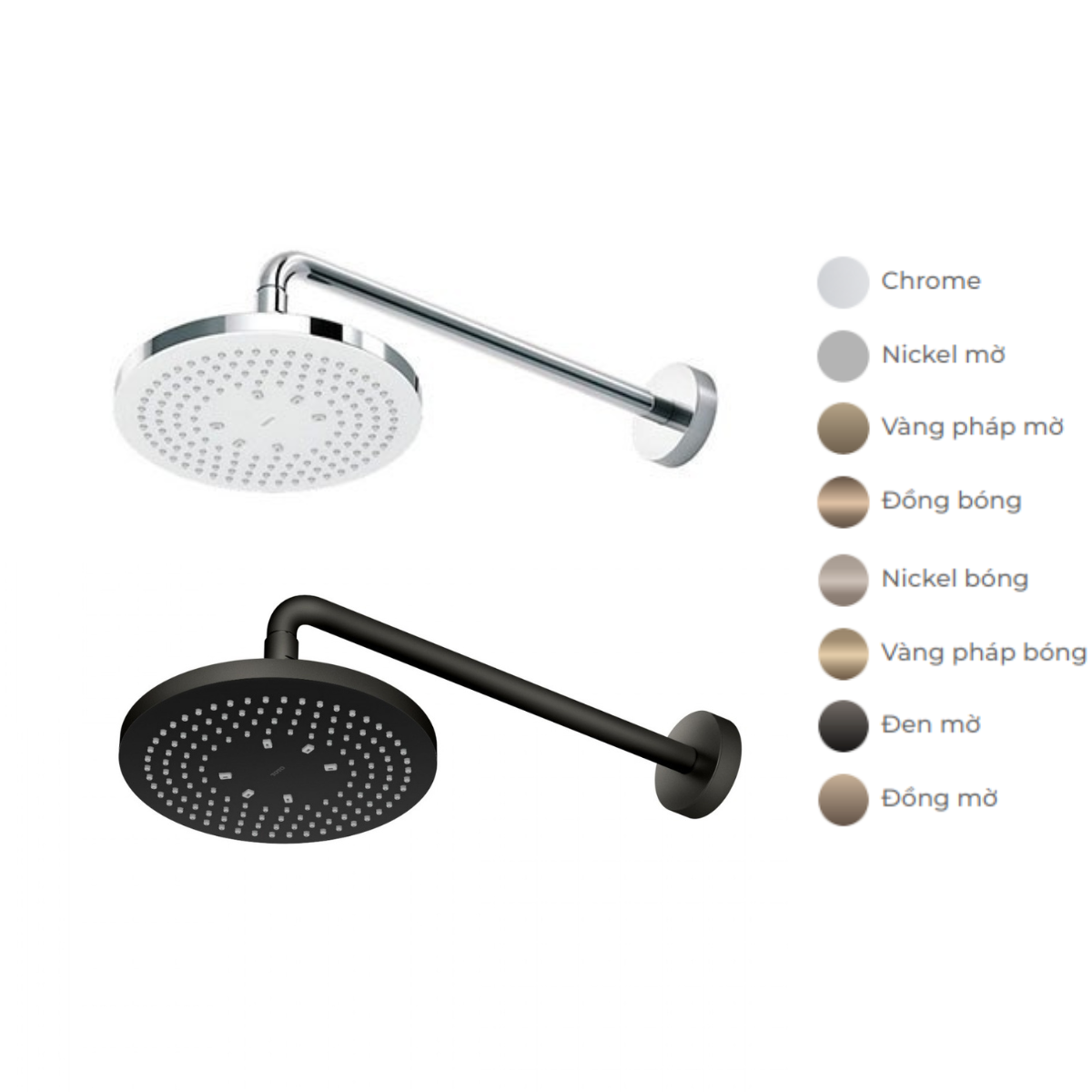 Bát sen tắm gắn tường TOTO TBW01003A (tròn, 220mm) - 2