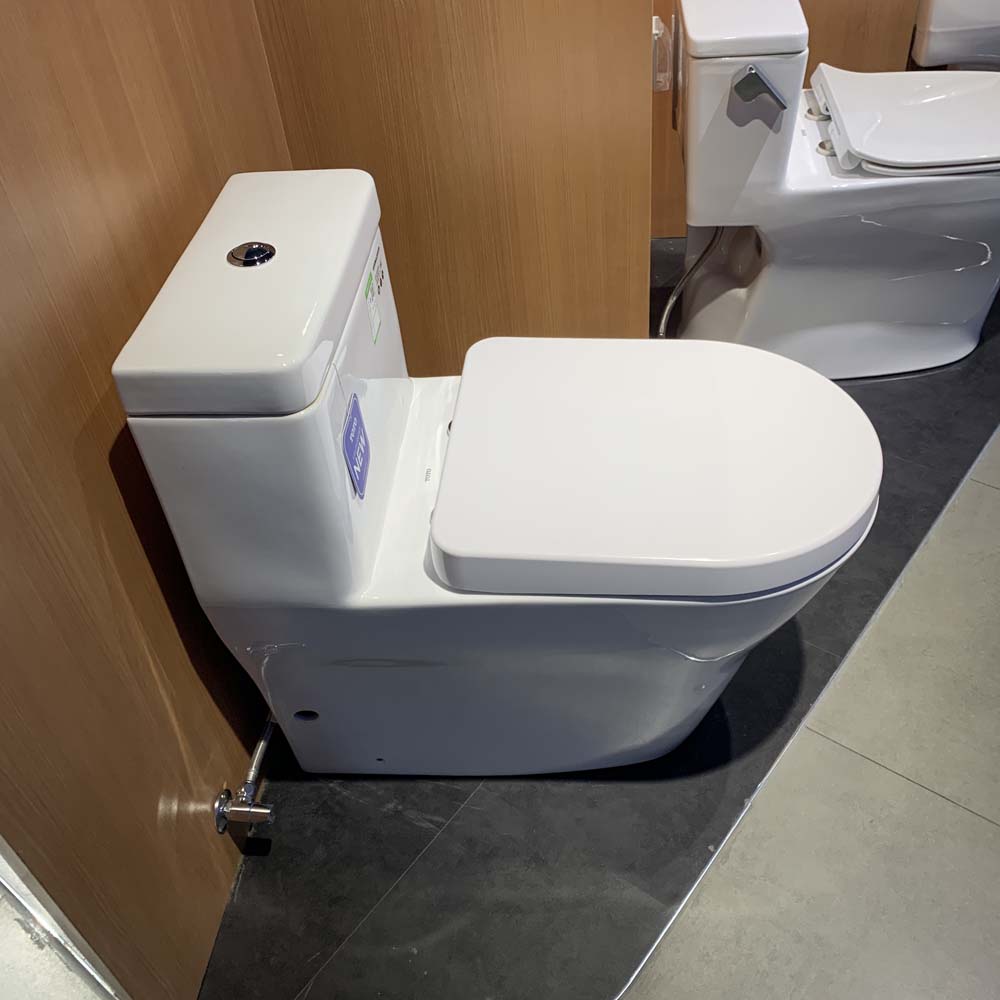 Bồn cầu TOTO CW166RB TC384CVK T53P100VR 1 khối nắp đóng êm - 7