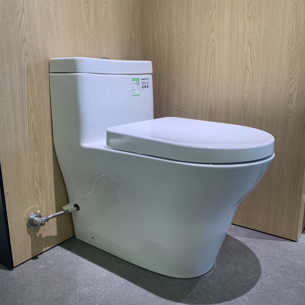 Bồn cầu TOTO CW166RB TC384CVK T53P100VR 1 khối nắp đóng êm - 14